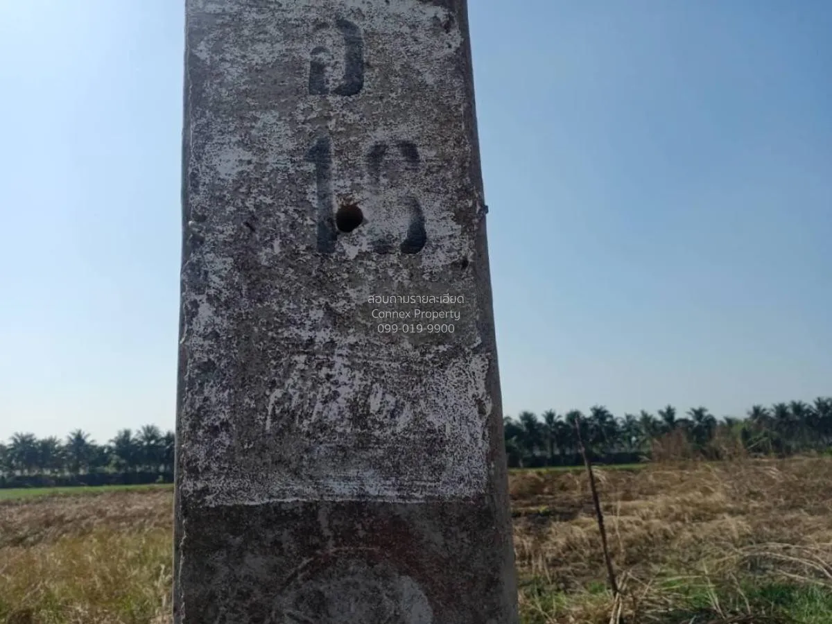 ขายที่ดิน 1 ไร่ ไทรน้อย ราษฎร์นิยม ไทรน้อย นนทบุรี CX-92350 2