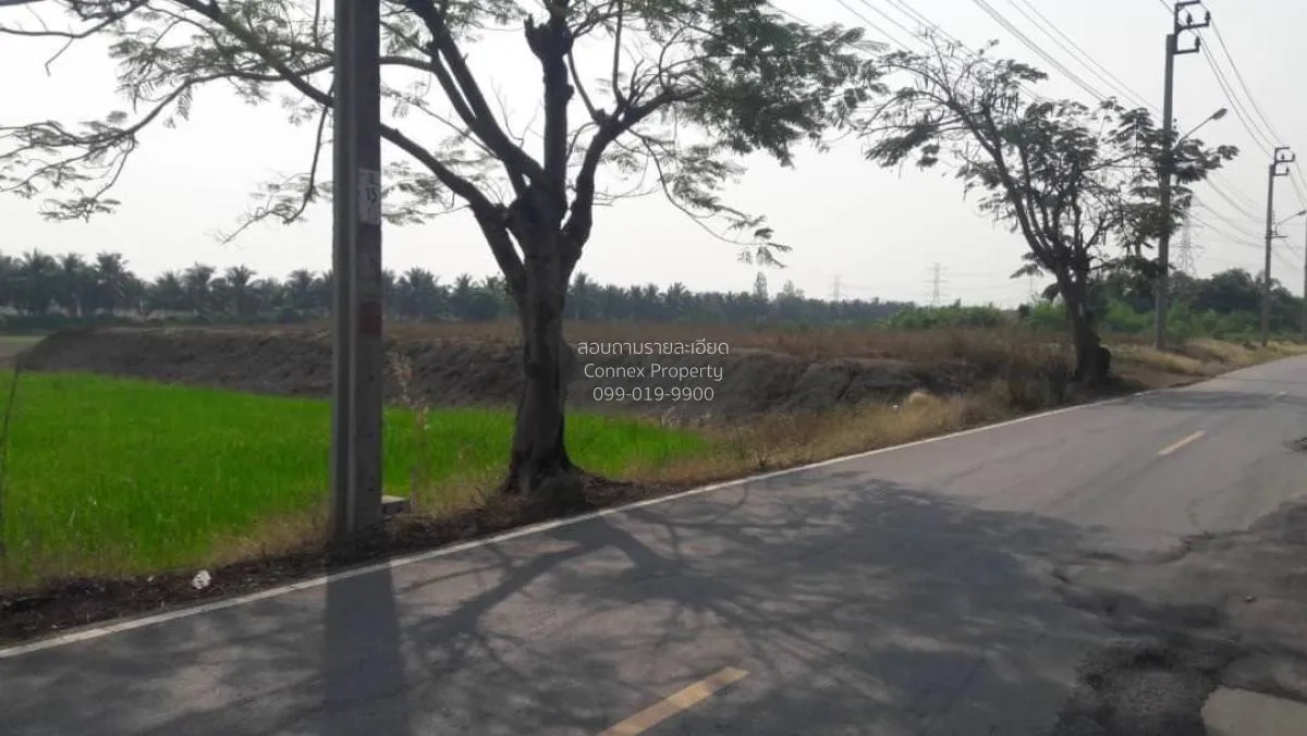 ขายที่ดิน 1 ไร่ ไทรน้อย ราษฎร์นิยม ไทรน้อย นนทบุรี CX-92350 3