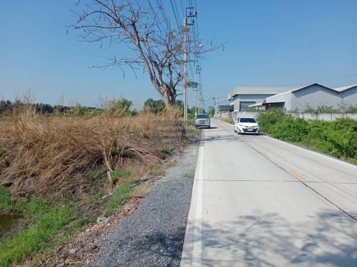 ขายที่ดิน 1 ไร่ ไทรน้อย ราษฎร์นิยม ไทรน้อย นนทบุรี CX-92350 4