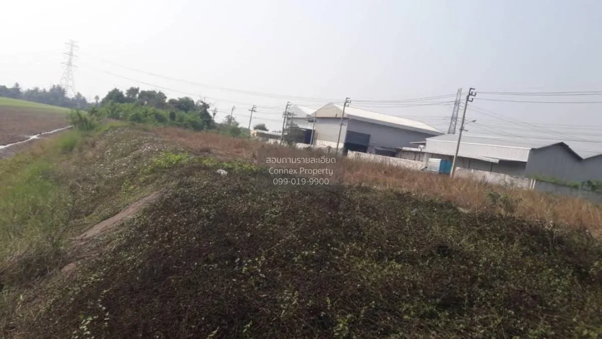 ขายที่ดิน 1 ไร่ ไทรน้อย ราษฎร์นิยม ไทรน้อย นนทบุรี CX-92350