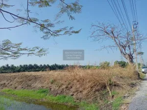 ขายที่ดิน 1 ไร่ ไทรน้อย ราษฎร์นิยม ไทรน้อย นนทบุรี CX-92350