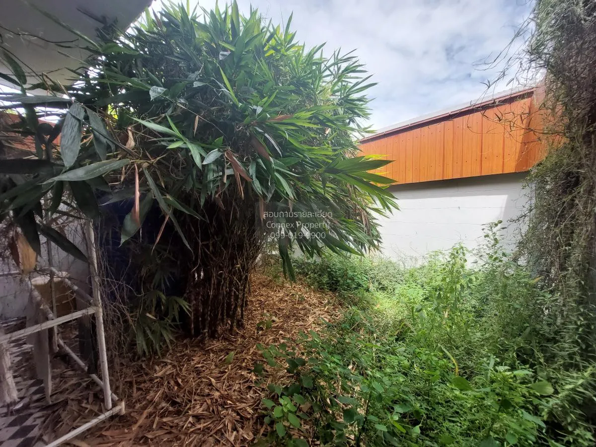 For Sale Townhouse, 2 storey, Khao Talo, Chonburi , Mueang Phata 