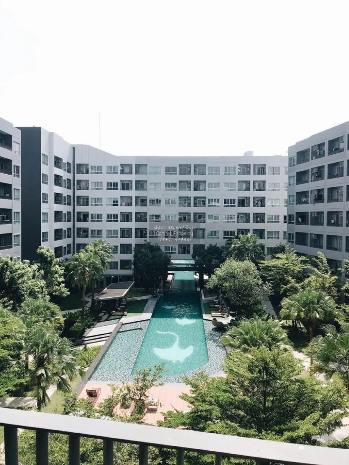 For Rent Condo , Elio Del Ray Sukhumvit 64 , BTS-Punnawithi , Ban