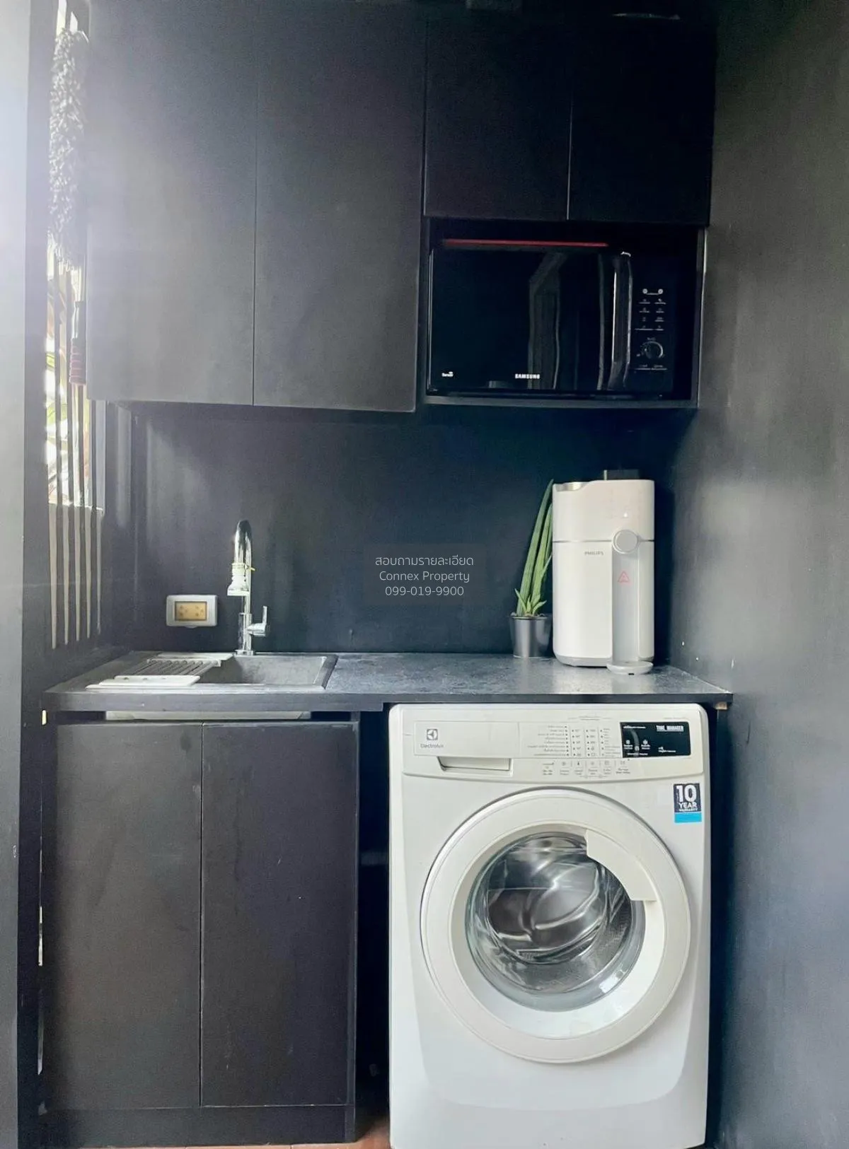 For Rent Condo , Tree Condo Ekamai , BTS-Ekkamai , Phra Khanong ,