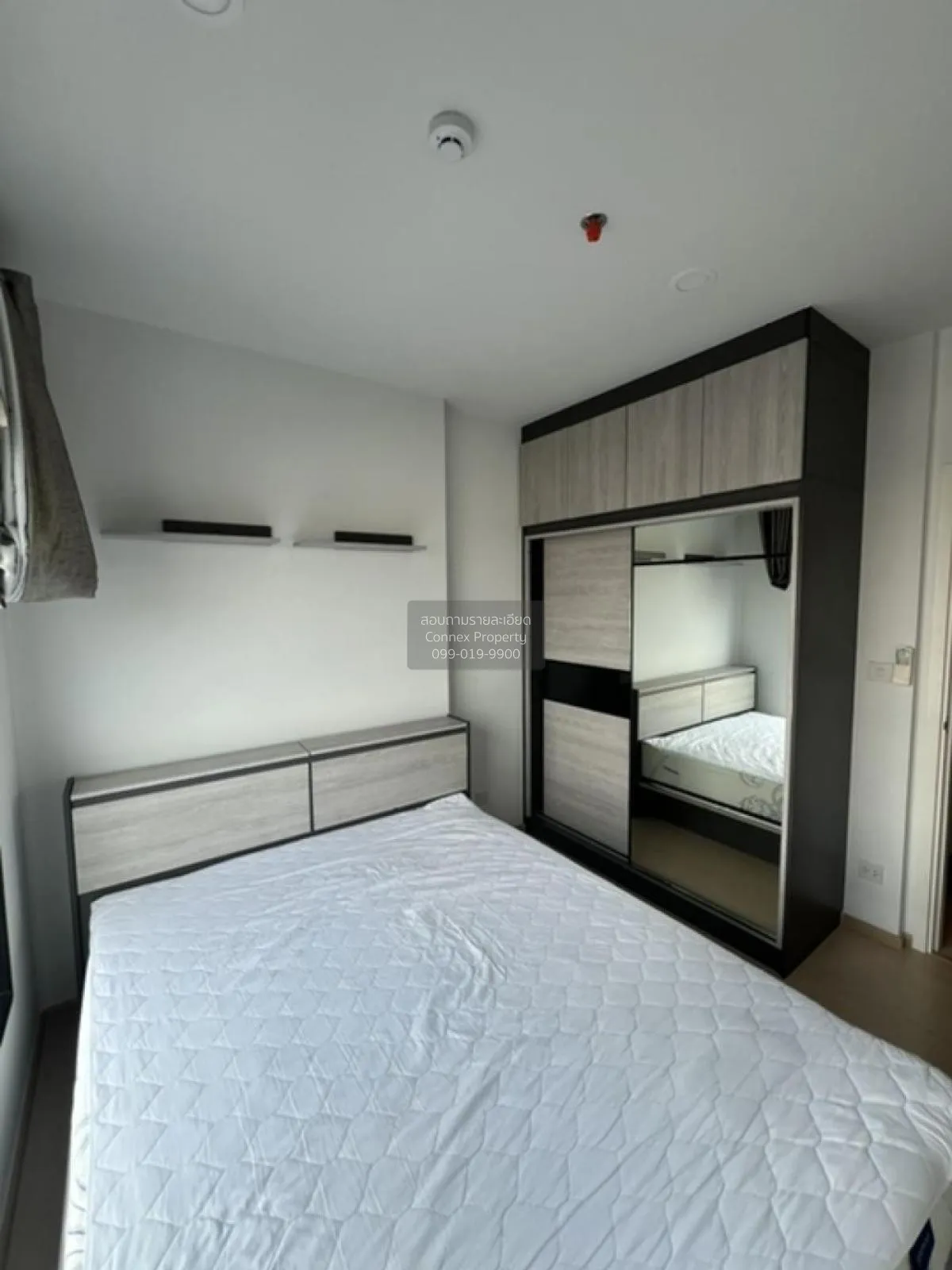 For Rent Condo , The Tree Sukhumvit 71 , ARL-Ramkhamhaeng , Suan 