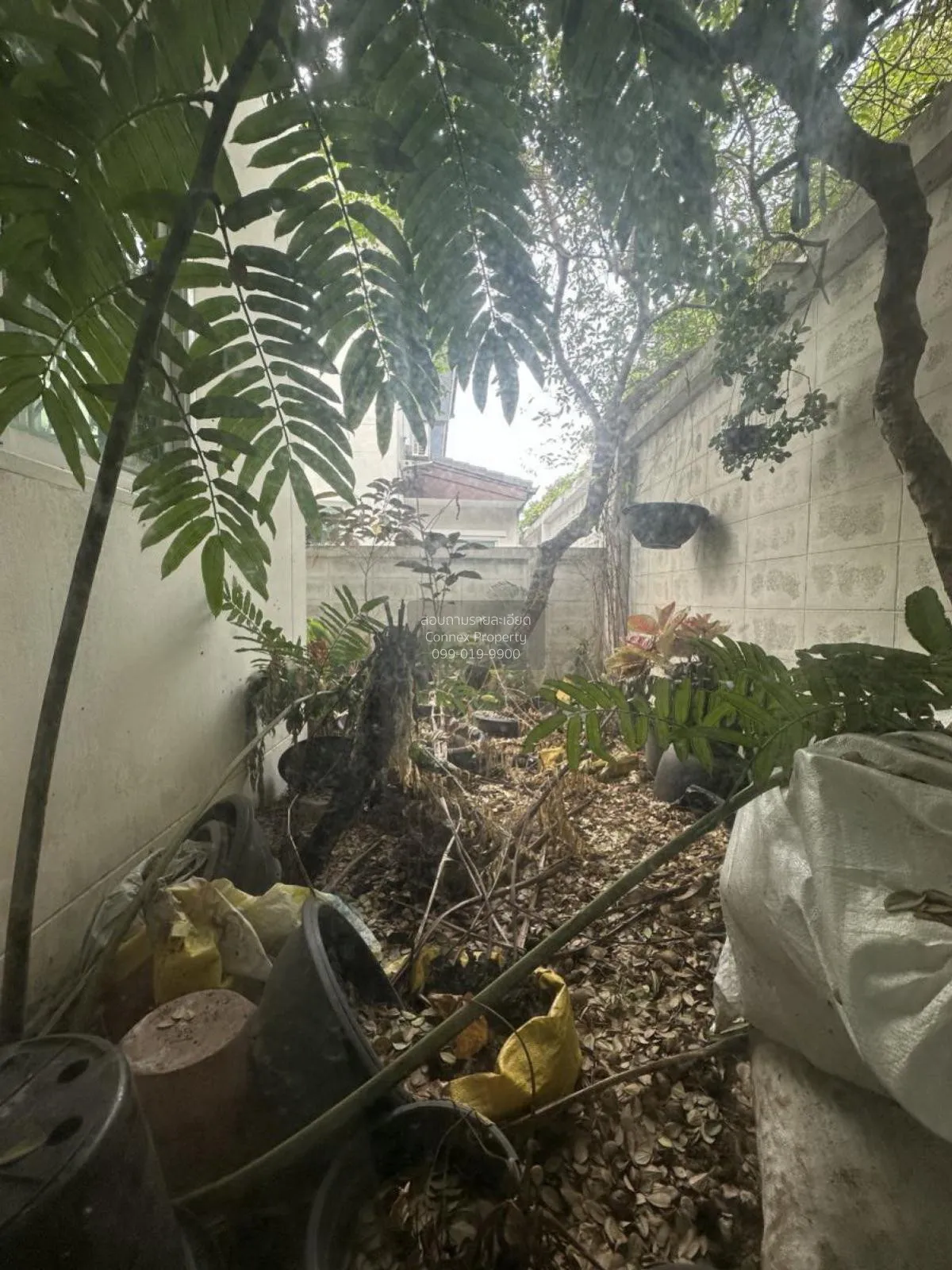 ขายบ้าน  บ้านเพลิน ราชพฤกษ์ บางเลน บางใหญ่ นนทบุรี CX-92805