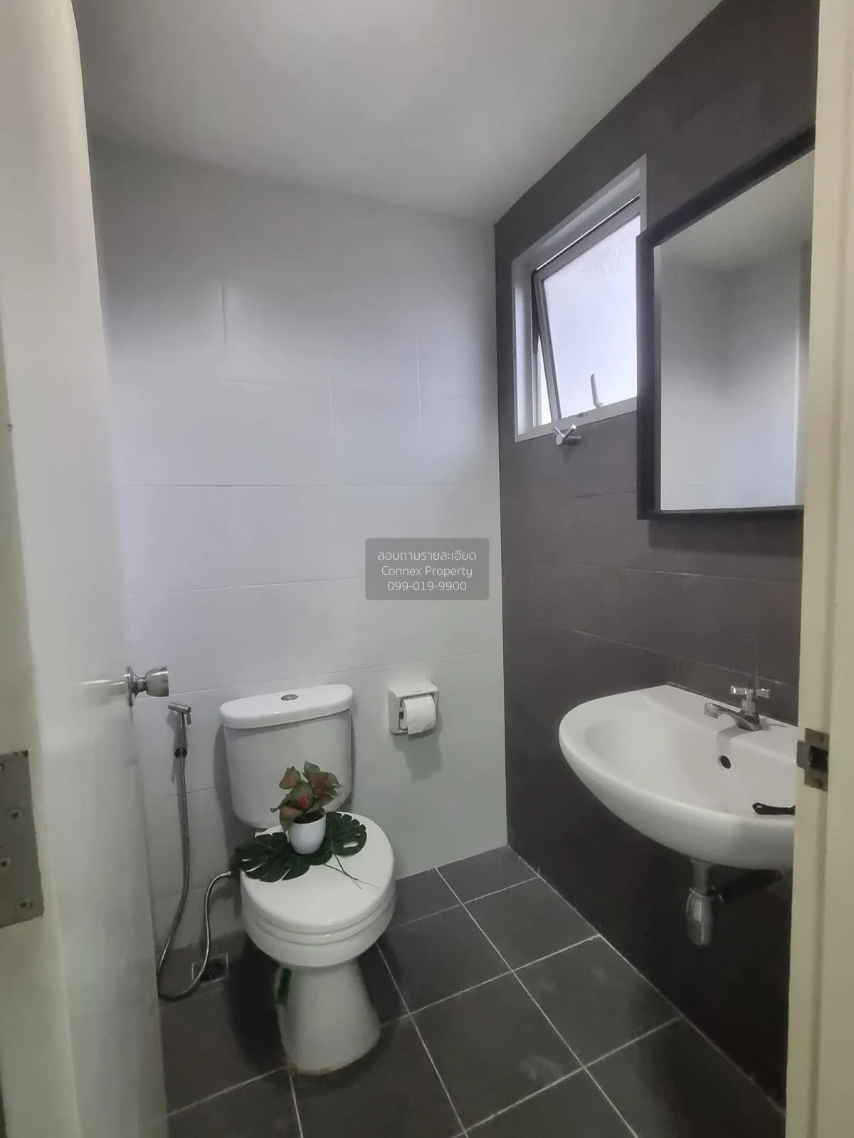 ขายคอนโด  มาย คอนโด สุขุมวิท 52 BTS-อ่อนนุช บางจาก เขต พระโขนง กร