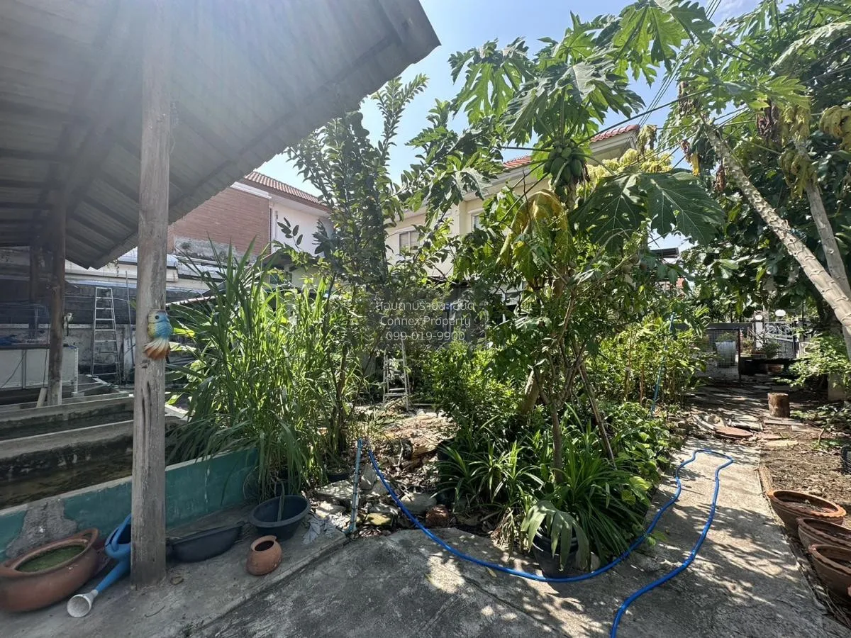 For Sale House , Kanlapaphruek Regent Bangna-Theparak , wide fron