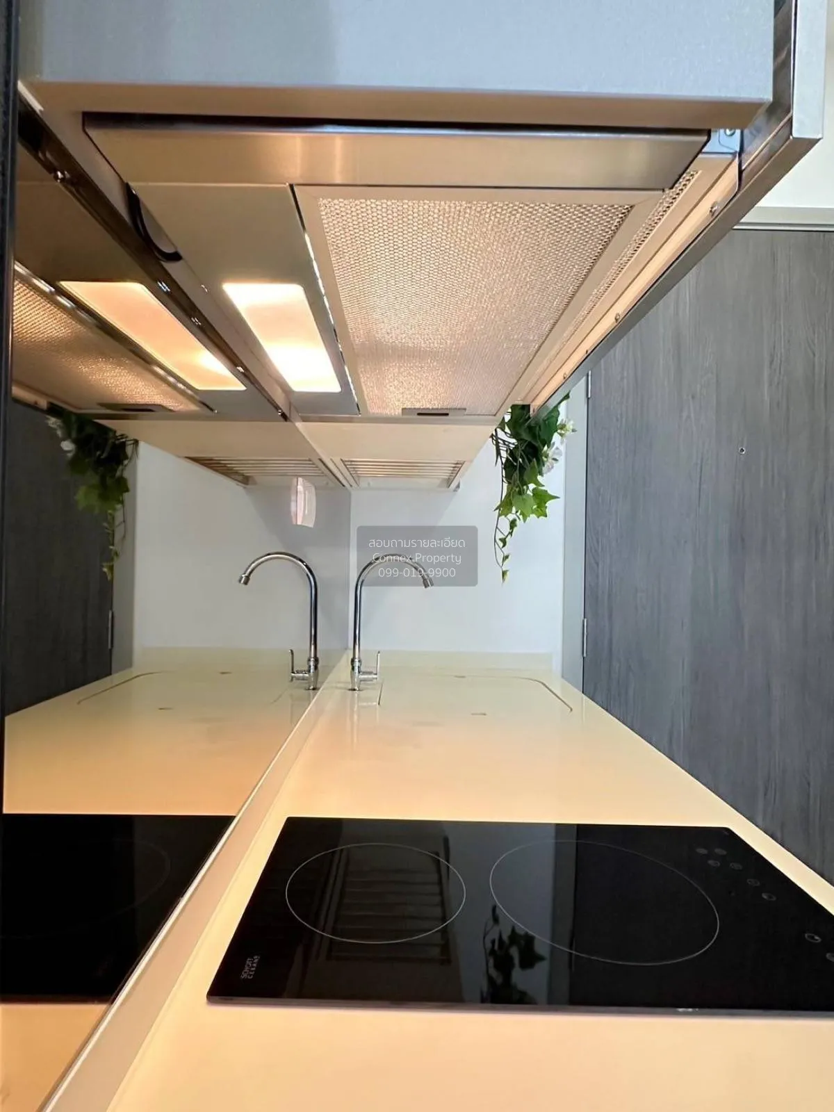 For Rent Condo , The Rich Rama 9 - Srinakarin , ARL-Hua Mak , Sua