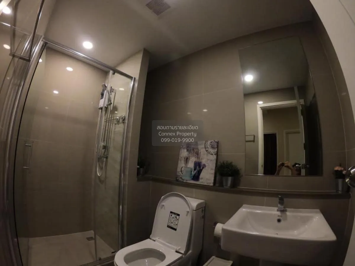 For Rent Condo , The Tree Sukhumvit 71 , ARL-Ramkhamhaeng , Suan  4