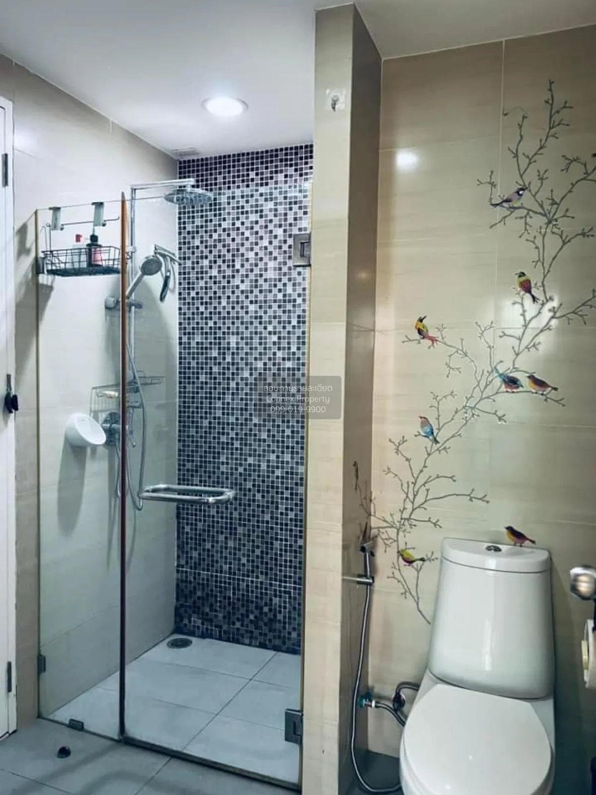 เช่าคอนโด  เซ้นส์ สุขุมวิท 68 บางนา เขต บางนา กรุงเทพ CX-93476