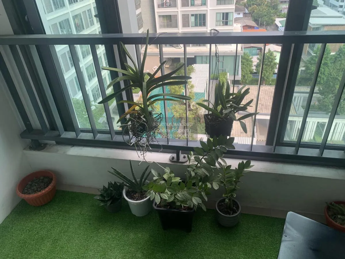 For Rent Condo , Ideo Wutthakat , BTS-Wutthakat , Bang Kho , Chom
