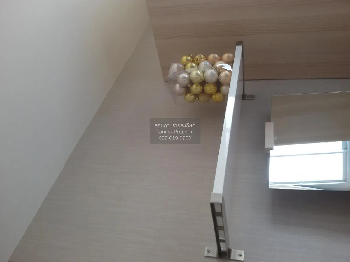 For Rent Condo , Elio Del Ray Sukhumvit 64 , BTS-Punnawithi , Ban