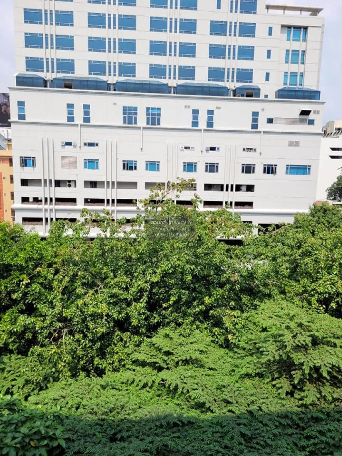 เช่าคอนโด  โฟกัส เพลินจิต BTS-เพลินจิต คลองเตย เขต คลองเตย กรุงเท