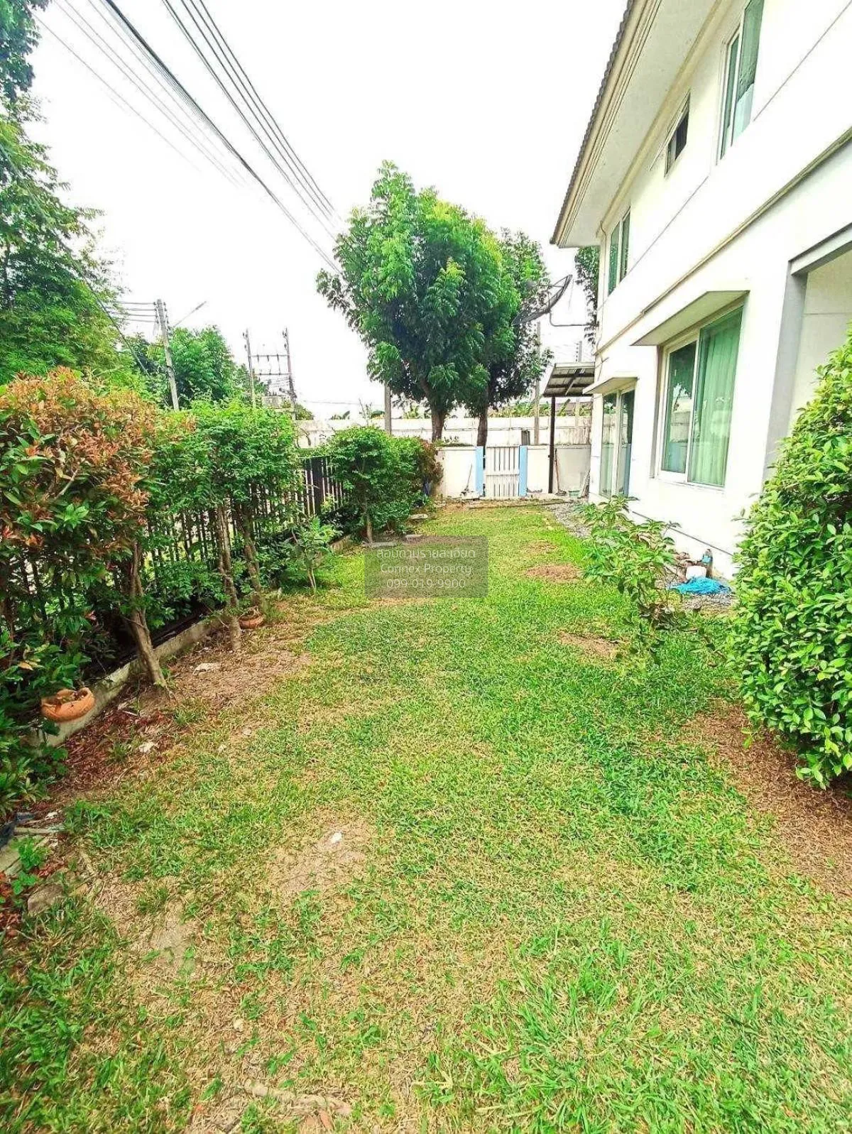 ขายบ้าน  พฤกษ์ลดา ปิ่นเกล้า – สาย 5 บางเตย สามพราน นครปฐม CX-9446 2