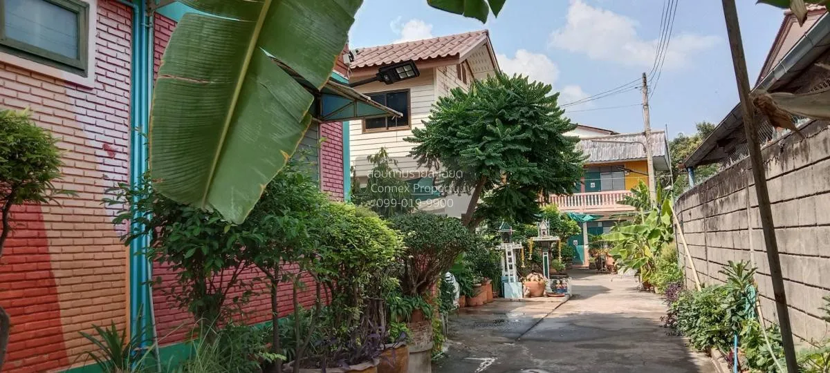 For Sale Guest House in Ayutthaya , Soi U Thong 12 (Watapraprai)  3