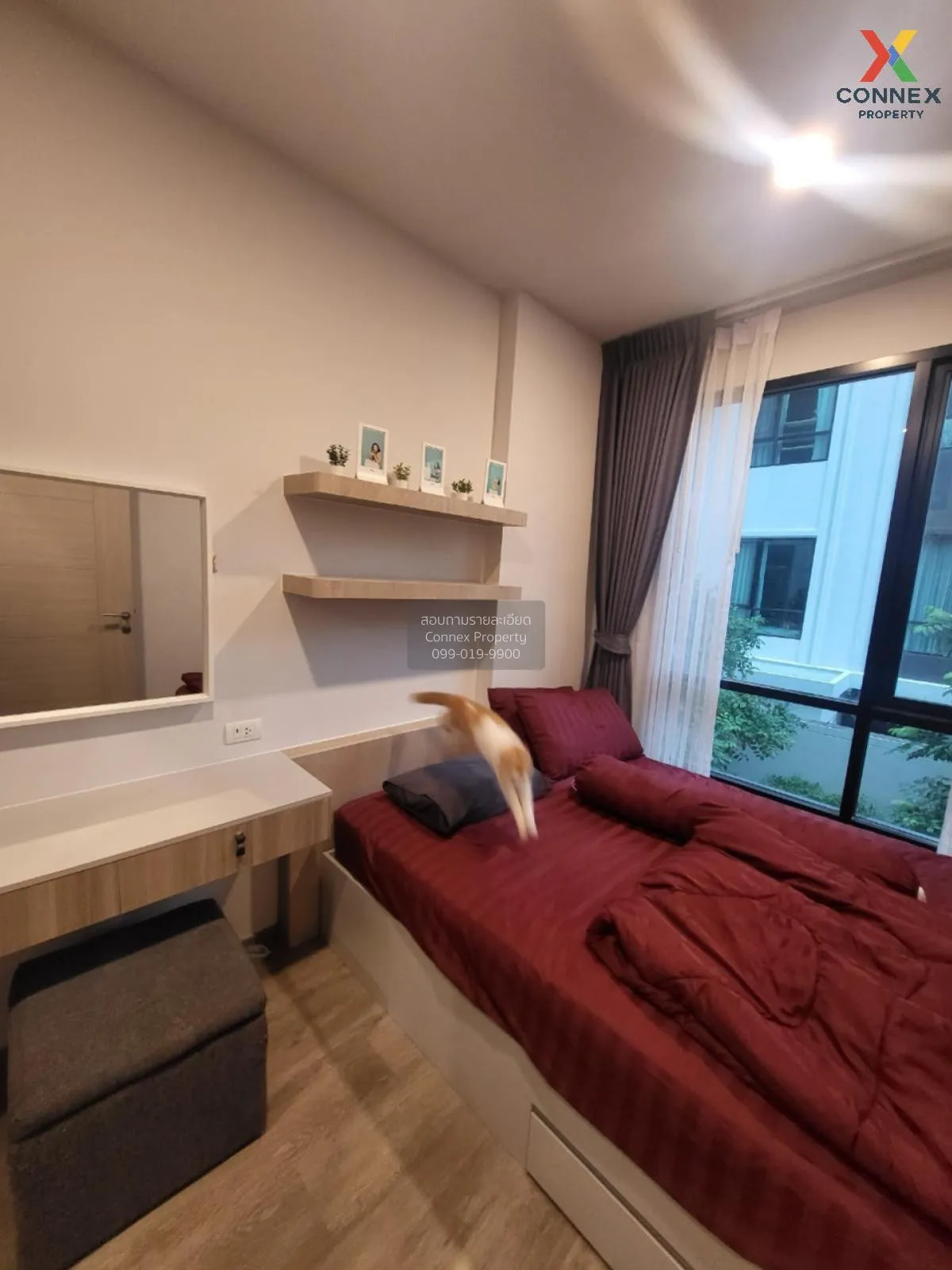 เช่าคอนโด  บริกซ์ตัน เพ็ทแอนด์เพลย์ สุขุมวิท 107 BTS-แบริ่ง สำโรง