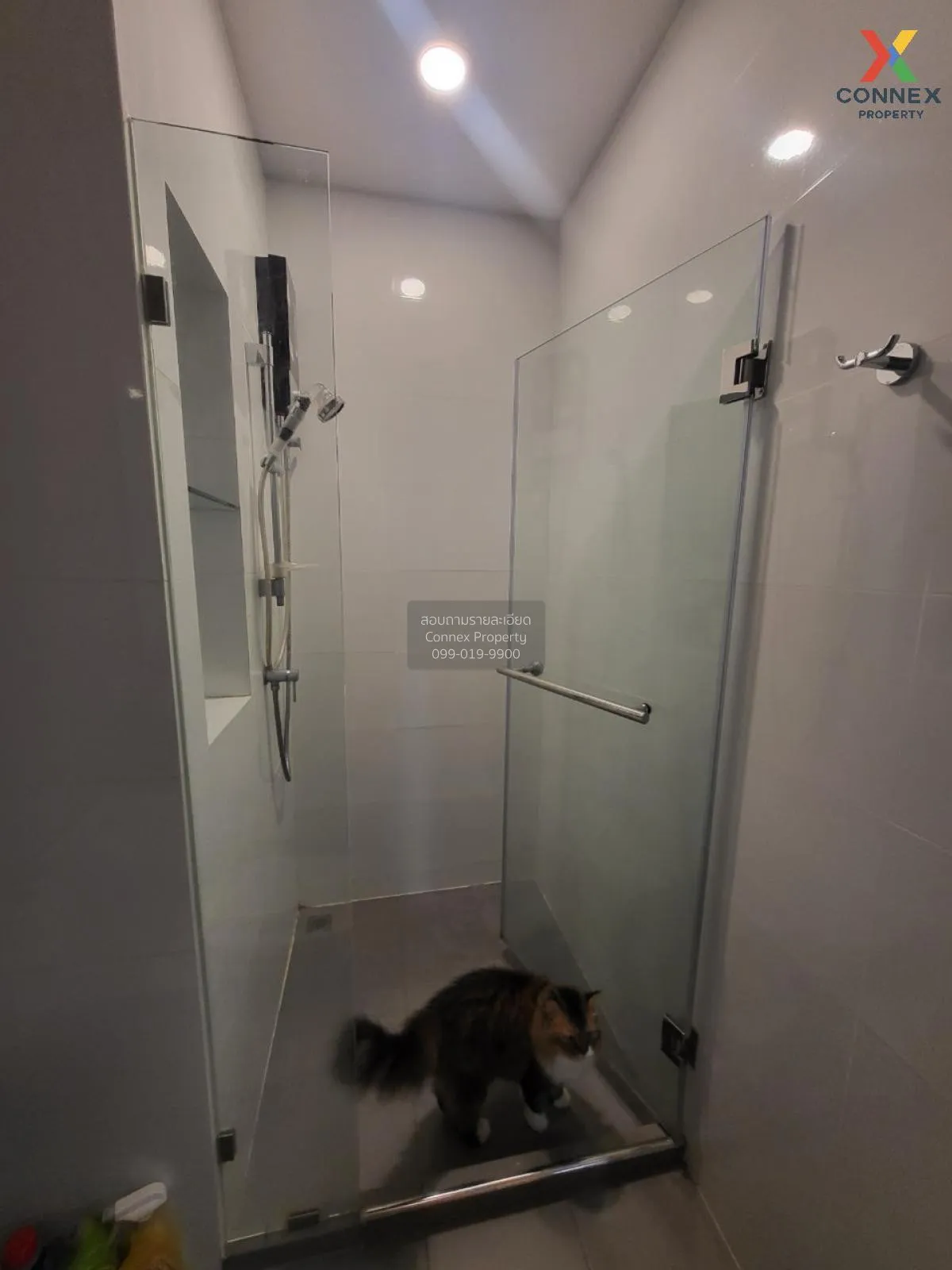 เช่าคอนโด  บริกซ์ตัน เพ็ทแอนด์เพลย์ สุขุมวิท 107 BTS-แบริ่ง สำโรง