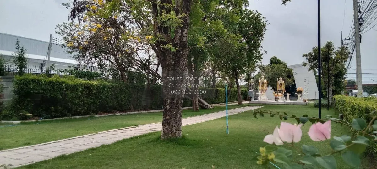 ขายทาวน์เฮ้าส์/ทาวน์โฮม  บ้านพฤกษา นารา โรจนะ-สามเรือน วังน้อย วั