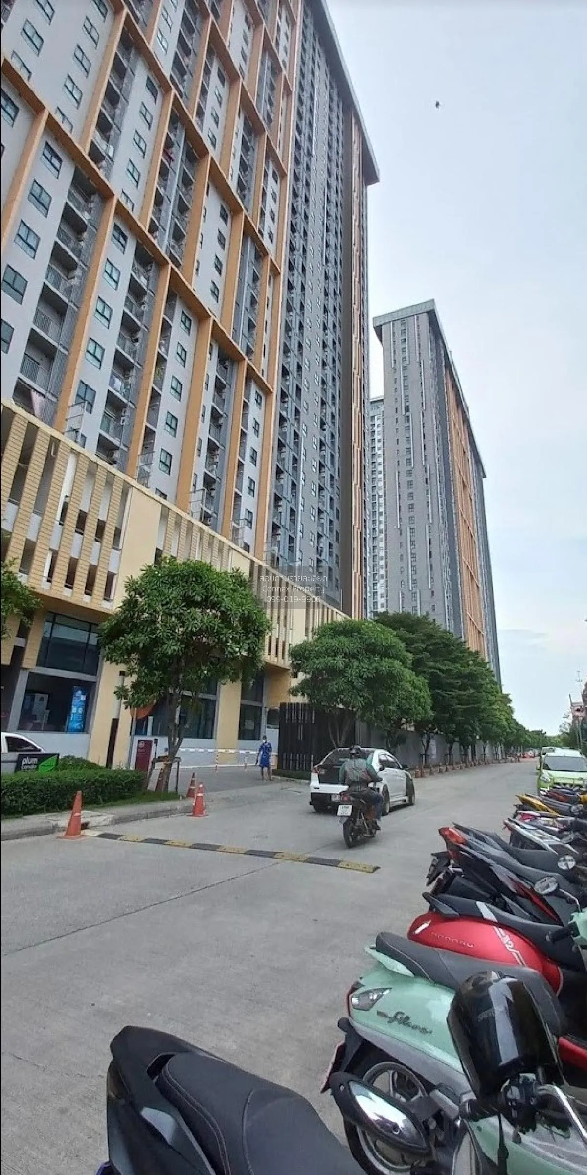 เช่าคอนโด  พลัมคอนโด เซ็นทรัล สเตชั่น MRT-สามแยกบางใหญ่ เสาธงหิน 