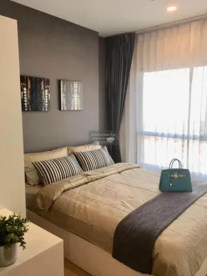 เช่าคอนโด  เดอะ ทรี สุขุมวิท 71 - เอกมัย ARL-รามคำแหง สวนหลวง เขต สวนหลวง กรุงเทพ CX-95459