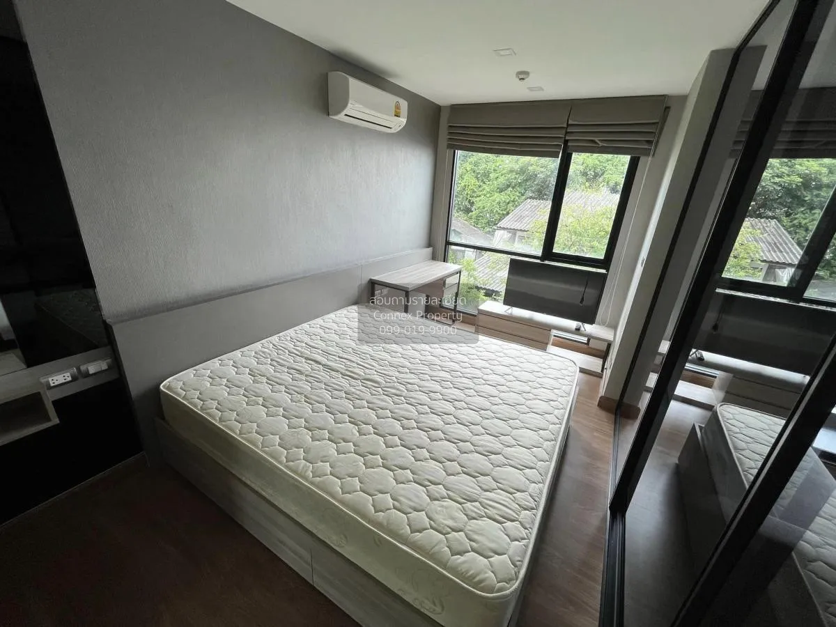 For Rent Condo , Tree Condo Sukhumvit 50 , BTS-On Nut , Phra Khan