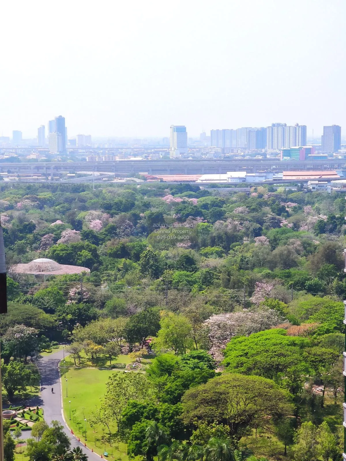 ขายคอนโด  อีควิน็อคซ์ พหล-วิภา MRT-พหลโยธิน จอมพล  เขต จตุจักร กร