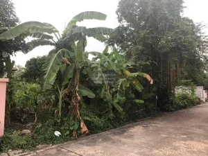 For Sale land in Soi Tiwanon 27 , Tha Sai , Mueang Nonthaburi , Nonthaburi , CX-96814