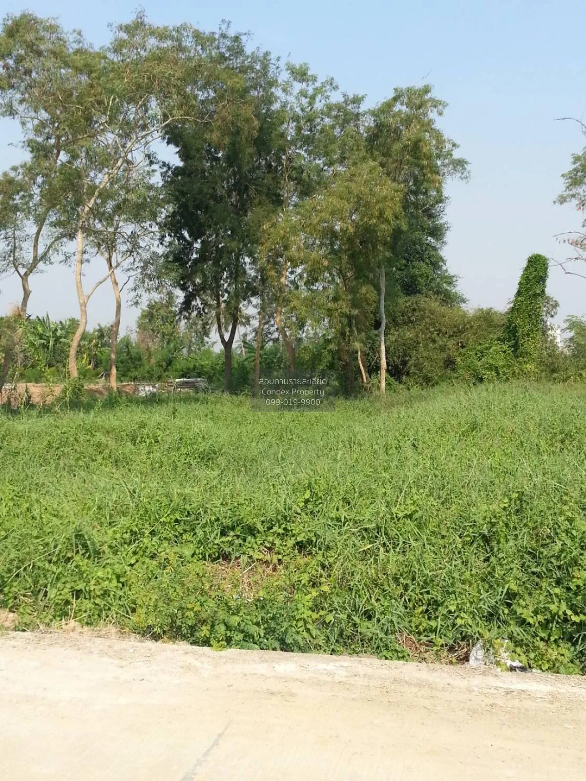 For Sale land 121 square wah, Soi Wat Phra Ngoen. , Bang Muang ,  2