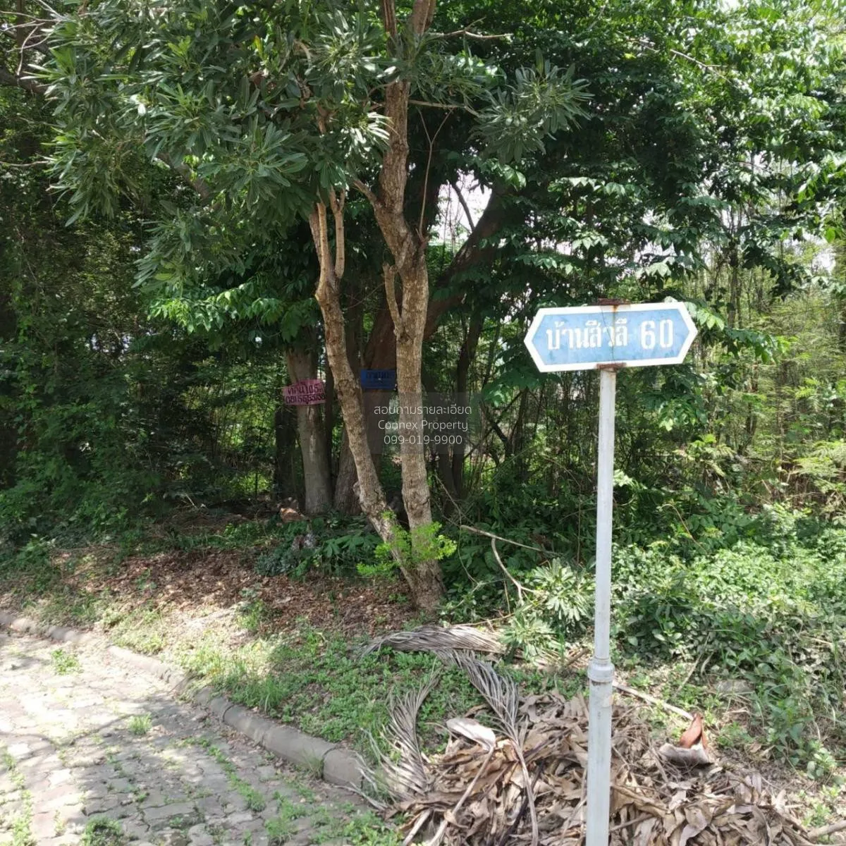 ขายที่ดินเปล่า  บ้านสีวลี รังสิต 1 ประชาธิปัตย์ ธัญบุรี ปทุมธานี  4