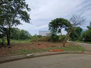 ขายที่ดินเปล่า  บ้านสีวลี รังสิต 1 ประชาธิปัตย์ ธัญบุรี ปทุมธานี CX-97263