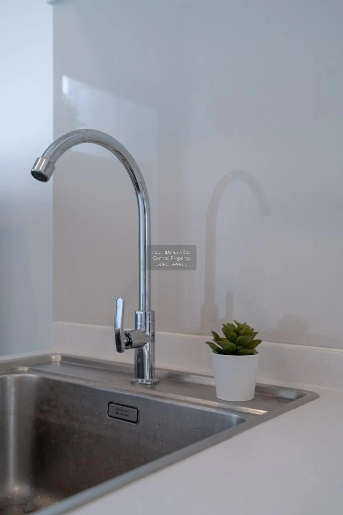 For Rent Condo , The Tree Sukhumvit 71 , ARL-Ramkhamhaeng , Suan 