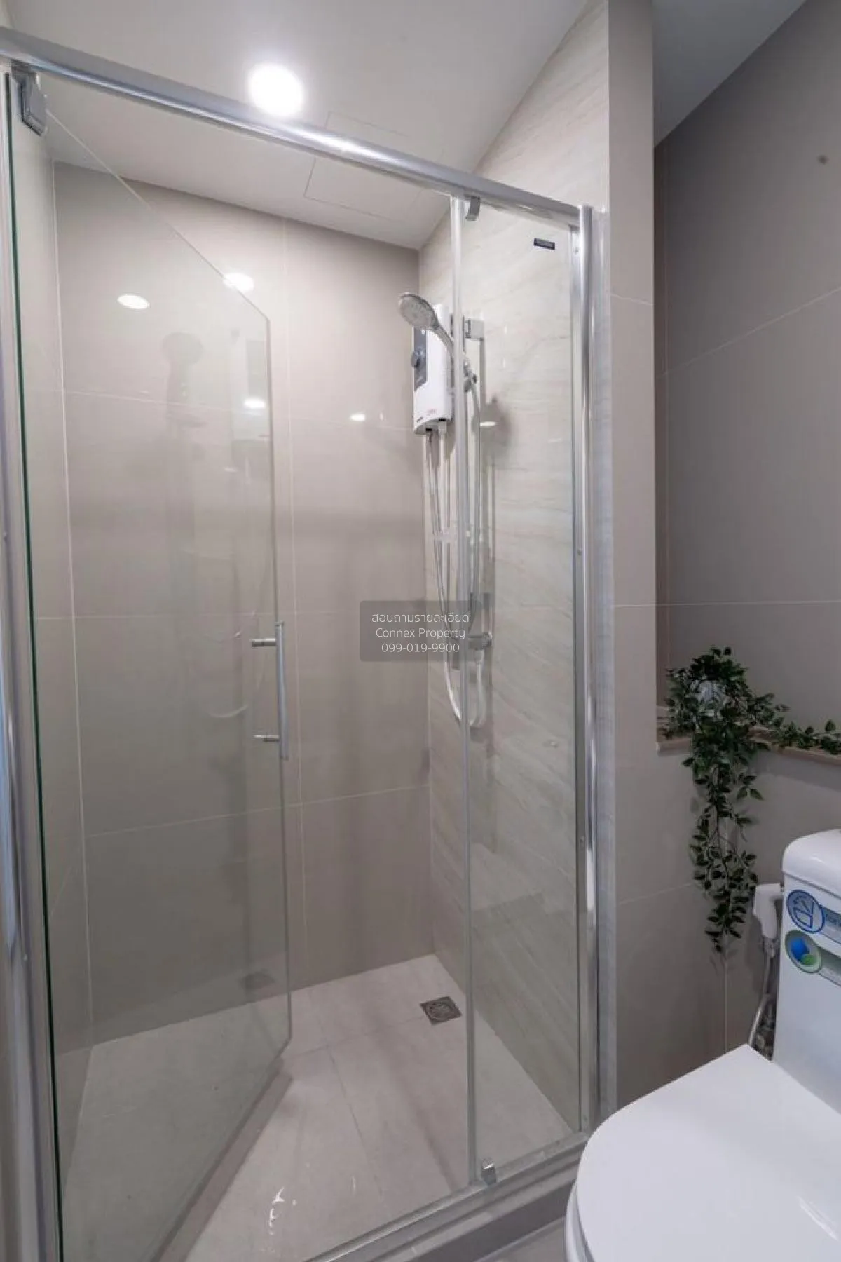 For Rent Condo , The Tree Sukhumvit 71 , ARL-Ramkhamhaeng , Suan 