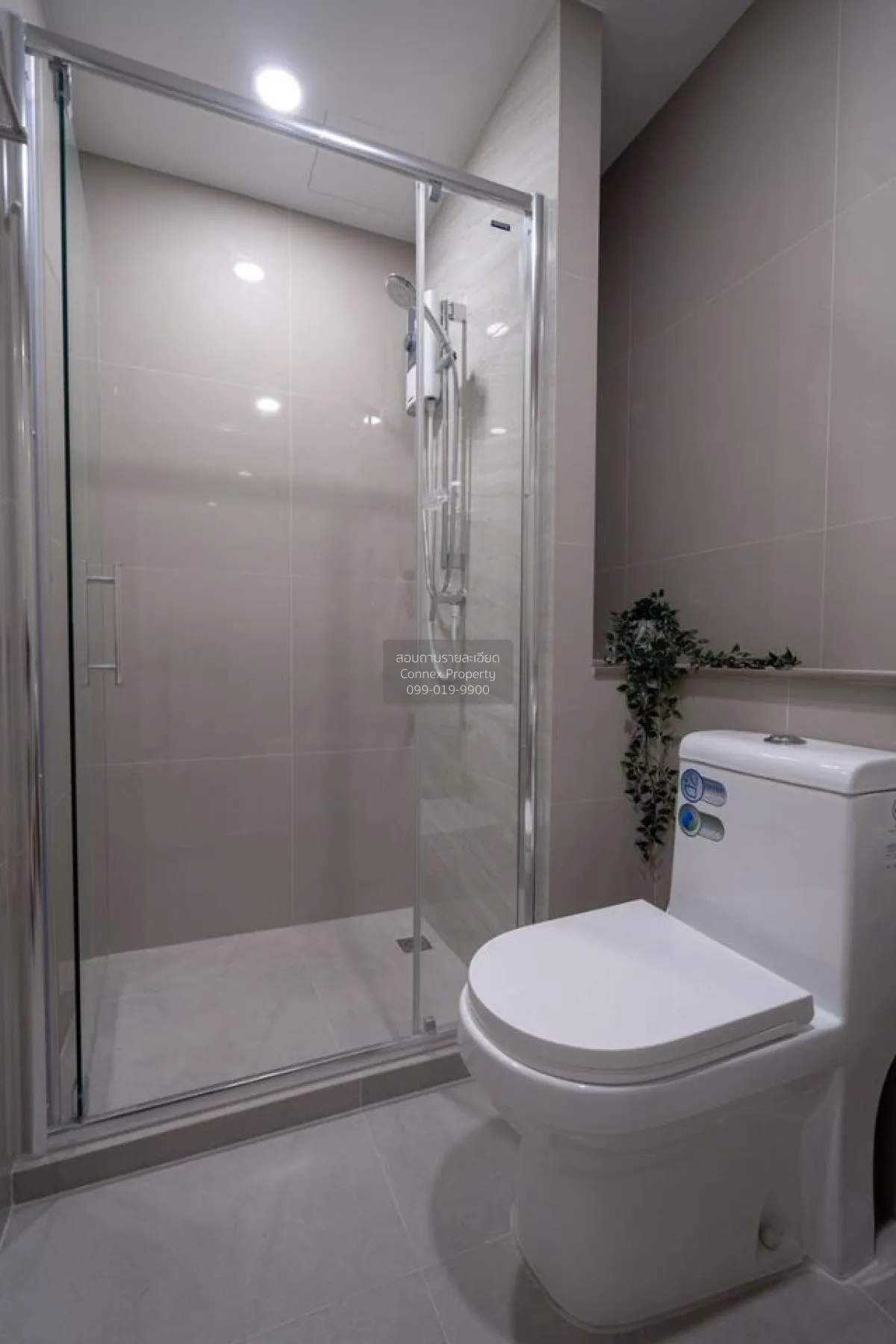 For Rent Condo , The Tree Sukhumvit 71 , ARL-Ramkhamhaeng , Suan 