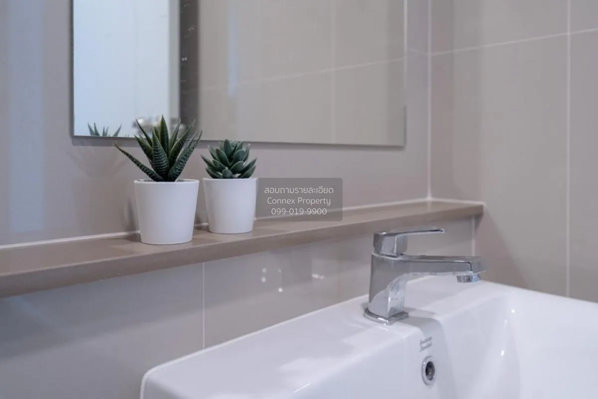 For Rent Condo , The Tree Sukhumvit 71 , ARL-Ramkhamhaeng , Suan 