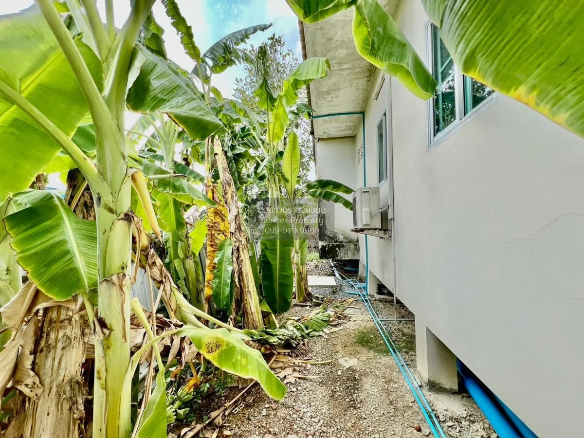 For Sale Single house,  Liapkhlong Phasicharoen Fangtai Rd. , Non