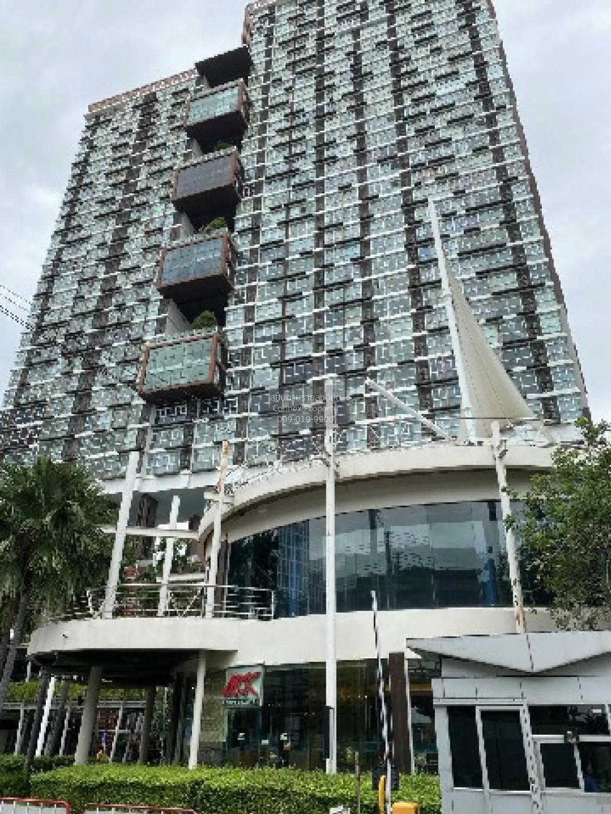 For Rent Condo , The Coast Bangkok , BTS-Bang Na , Bang Na , Bang