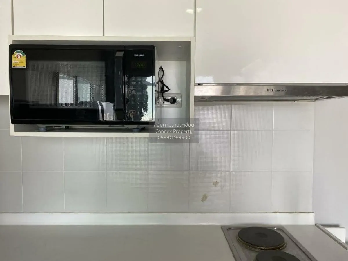 For Rent Condo , The Coast Bangkok , BTS-Bang Na , Bang Na , Bang