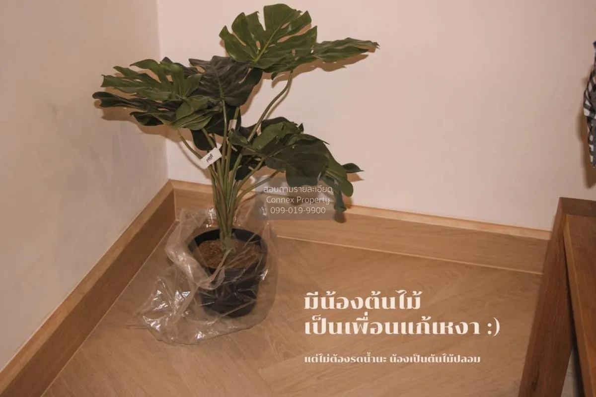 เช่าคอนโด  ไอดีโอ คิว จุฬา-สามย่าน MRT-สามย่าน บางรัก เขต บางรัก 