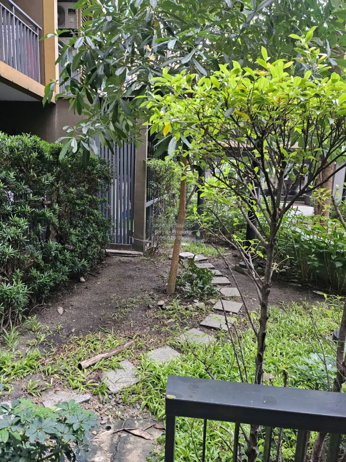 เช่าคอนโด  เมโทร ลักซ์ เกษตร วิวสวย เสนานิคม เขต จตุจักร กรุงเทพ 