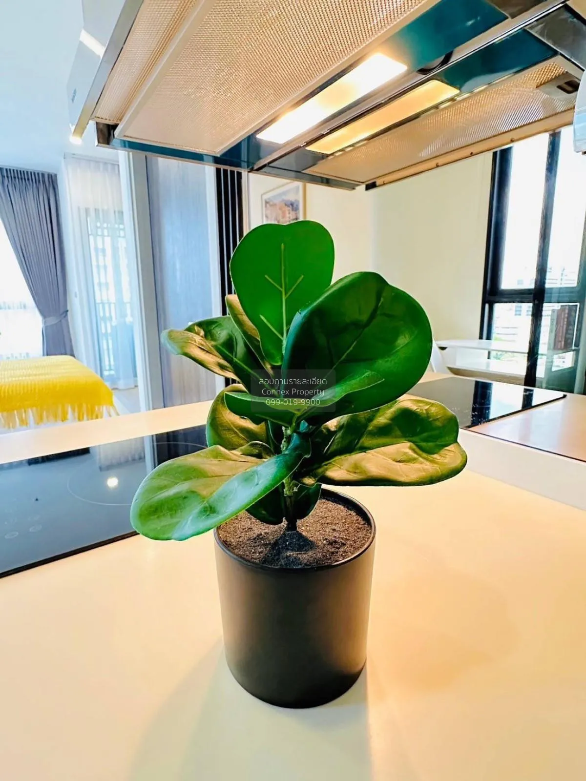 เช่าคอนโด  เดอะริช พระราม 9 - ศรีนครินทร์ ARL-หัวหมาก สวนหลวง เขต