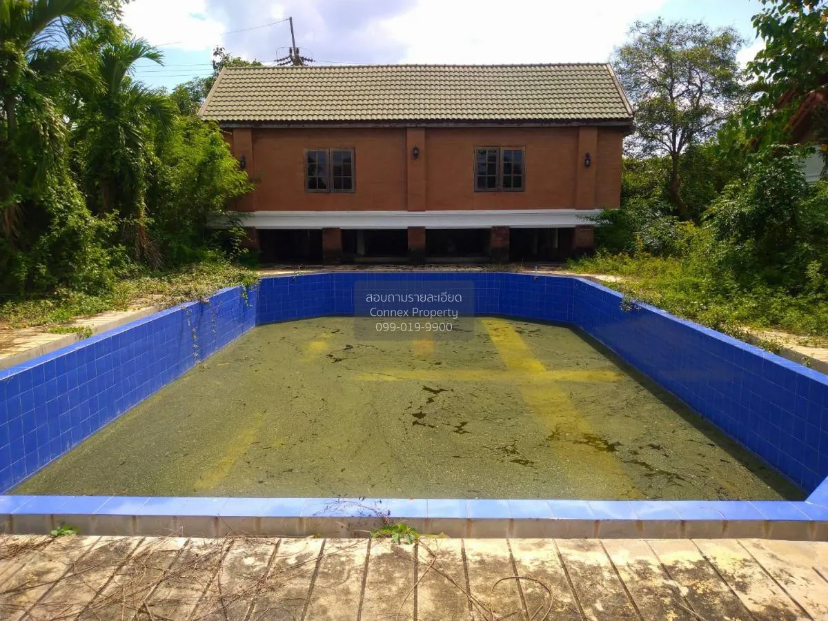 ขายบ้าน4ไร่นครปฐม​ ห้องมุม หน้ากว้าง สระพัฒนา กำแพงแสน นครปฐม CX- 3