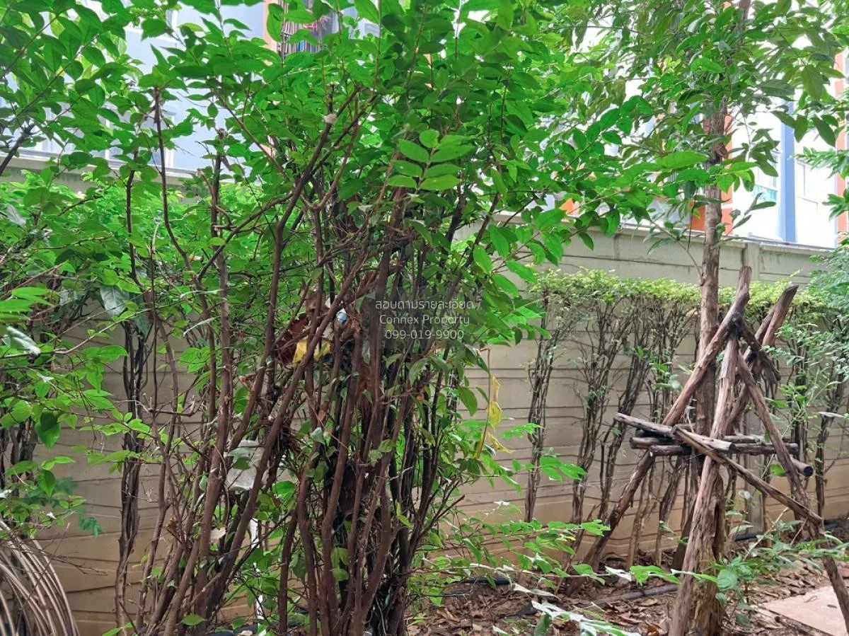 ขายคอนโด  พลัม คอนโด บางใหญ่ สเตชั่น MRT-คลองบางไผ่ บางรักพัฒนา บ