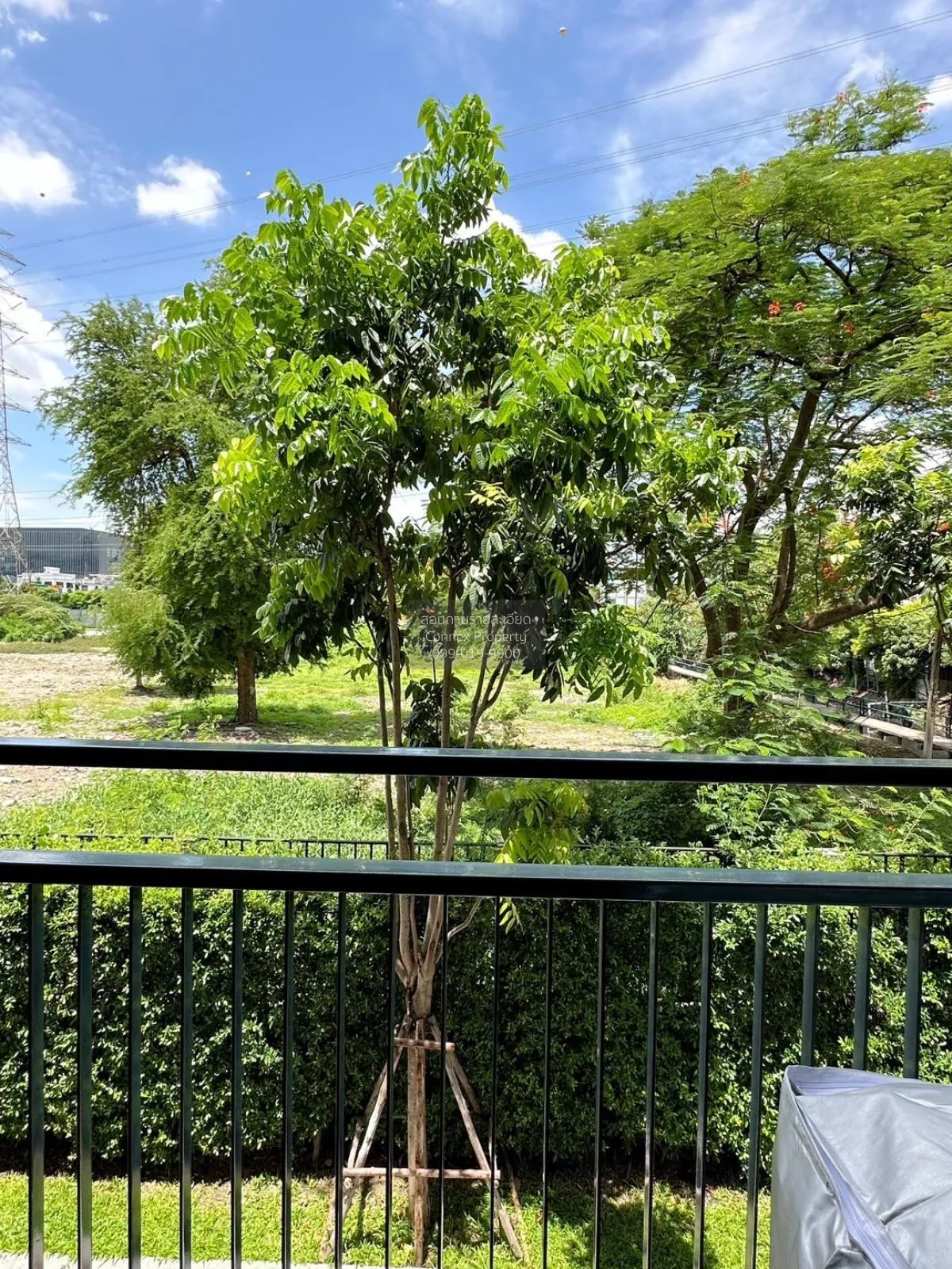 เช่าคอนโด  ไอคอนโด แอคทีฟ พัฒนาการ ARL-หัวหมาก สวนหลวง เขต สวนหลว