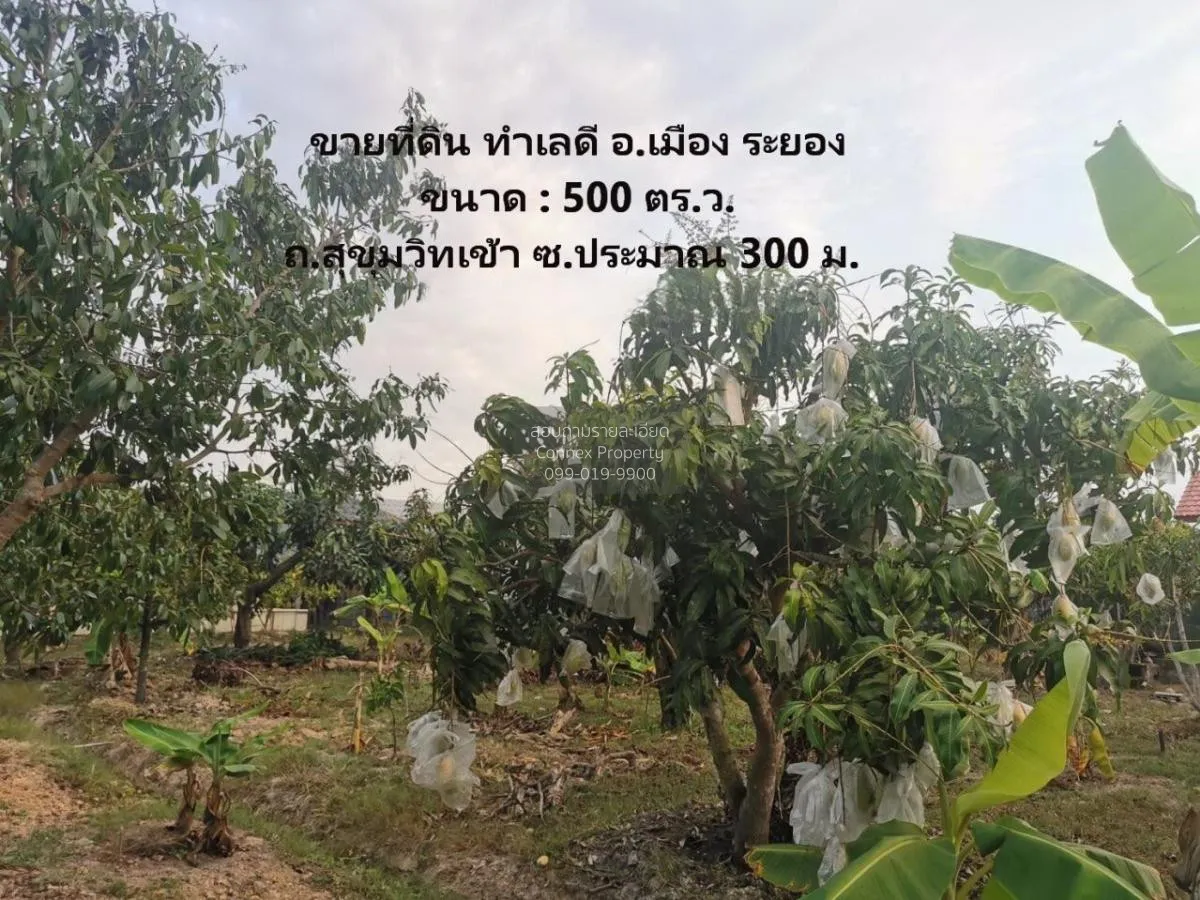 Land for sale, 1 rai 1 ngan, good location, Mueang District, Rayo