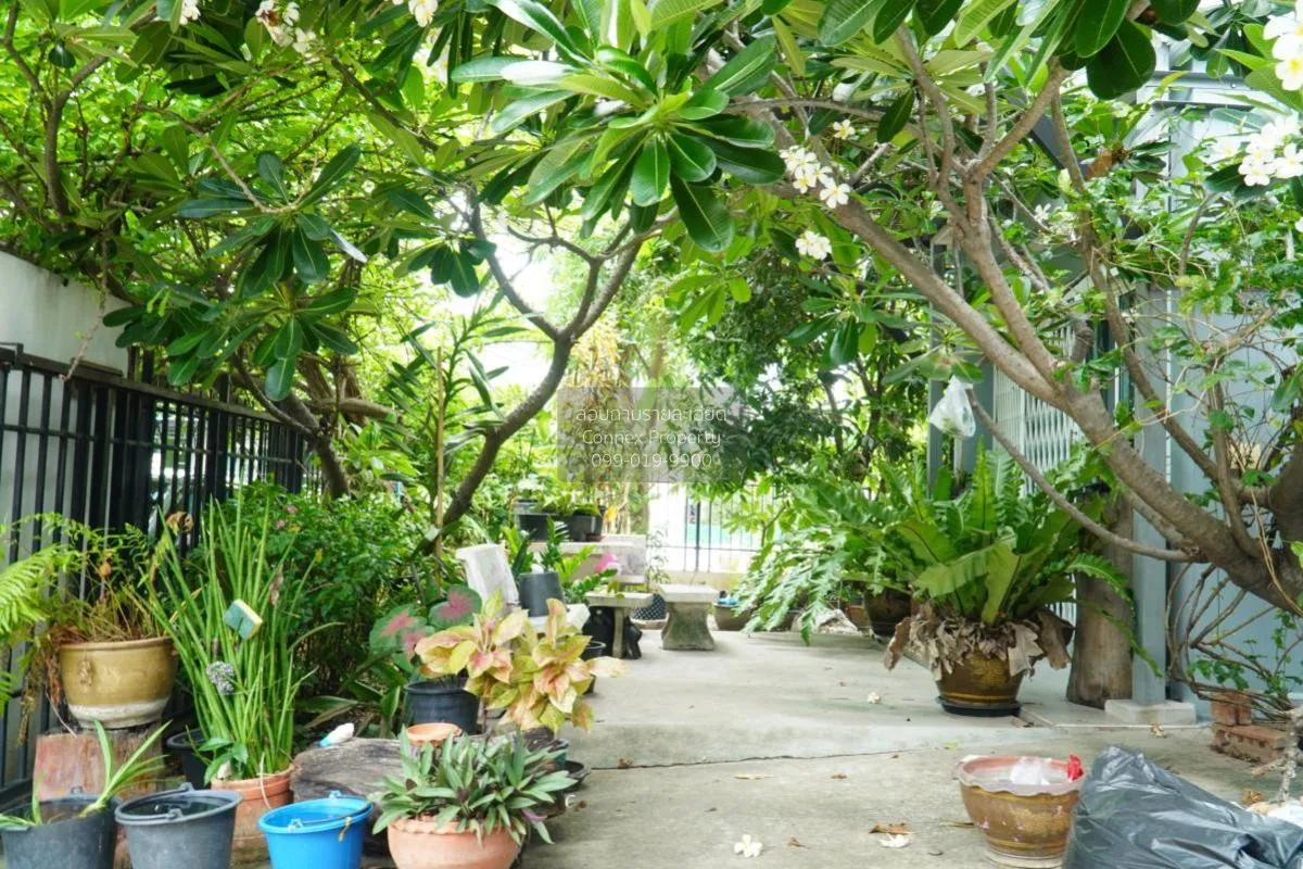 For Sale House , PRUKSA VILLAGE SCENERY KOSOOM 43 – SONG PRAPA , 