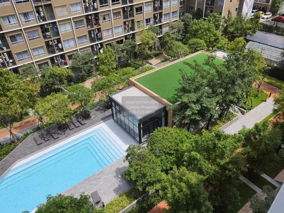 For Sale Condo , Plum Condo Rangsit Alive , Khlong Nueng , khlong