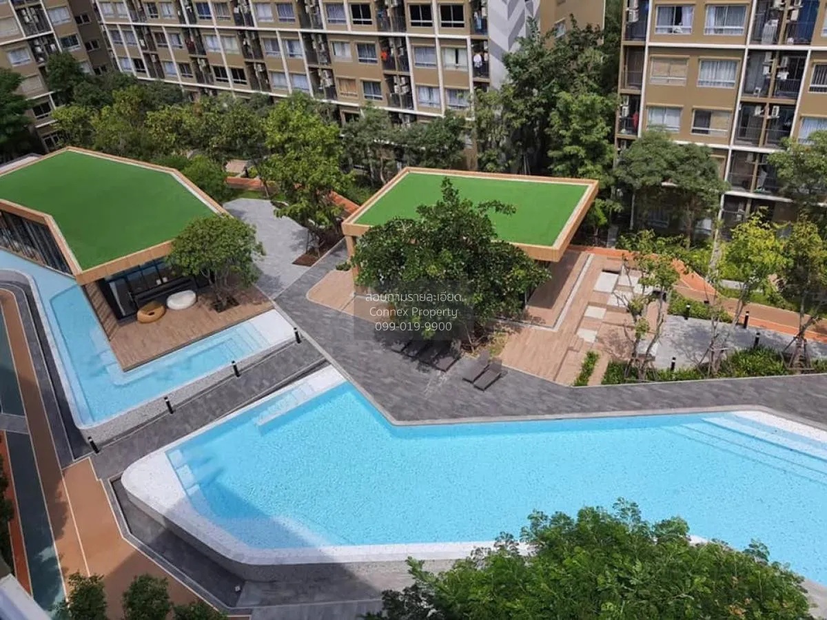 For Sale Condo , Plum Condo Rangsit Alive , Khlong Nueng , khlong