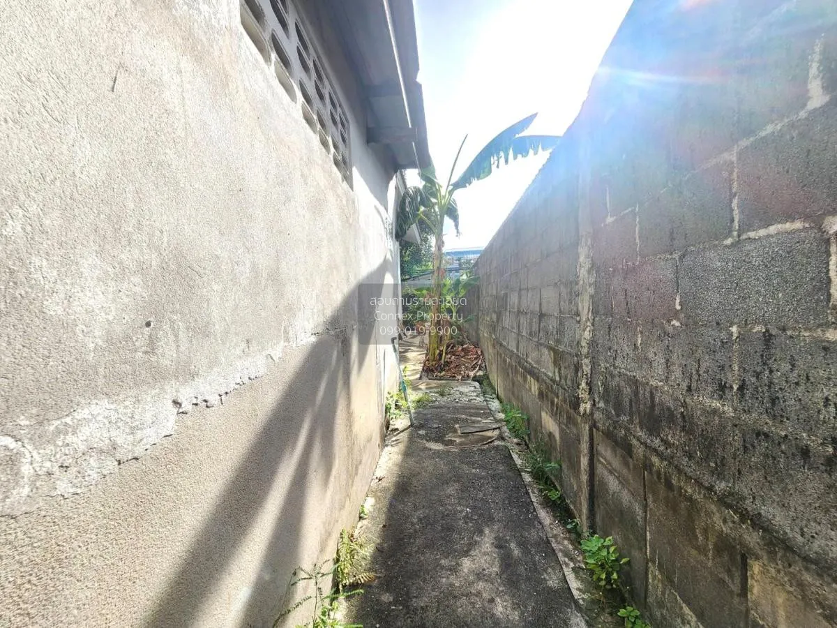 ขายบ้านเดี่ยว จันทรเกษม จตุจักร  จันทรเกษม เขต จตุจักร กรุงเทพ CX