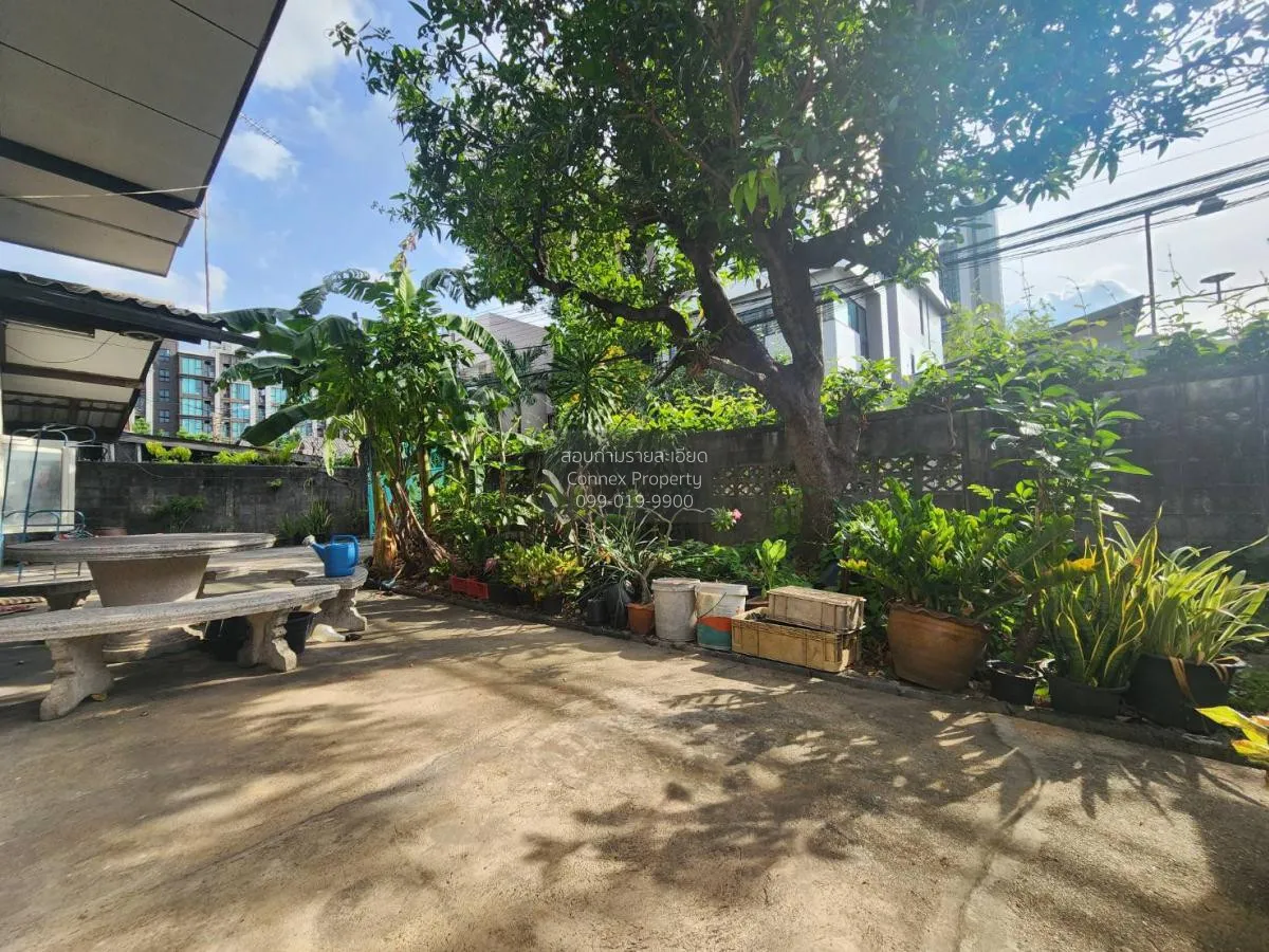 ขายบ้านเดี่ยว จันทรเกษม จตุจักร  จันทรเกษม เขต จตุจักร กรุงเทพ CX